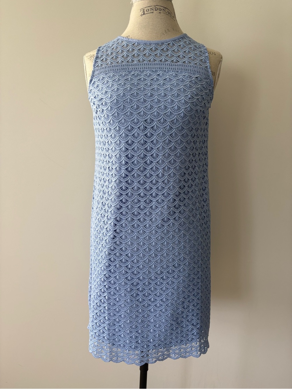 Loft Lace Dress